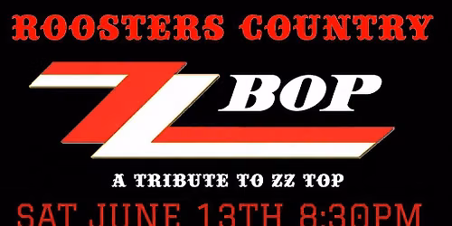 ZZ BOP ( zz top tribute ) AT ROOSTERS 