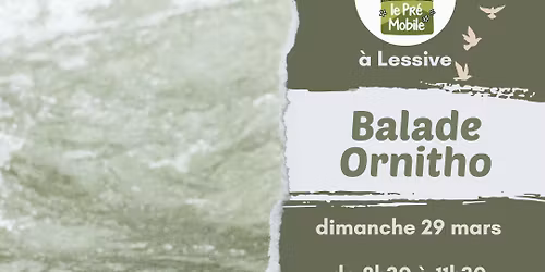 Sortie ornitho : le Cincle plongeur