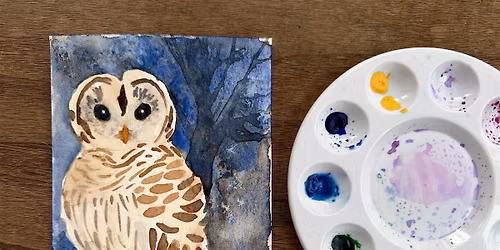 Barred Owl in Watercolor