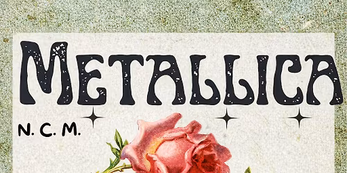 Bologna "Concerto Metallica"