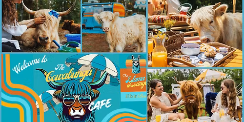 The Cowabunga Cafe! - Lounge In Style w\/ Fluffy Highland Cows, & Sheep!