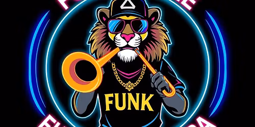 Fort Wayne Funk Orchestra live at Wrigley!