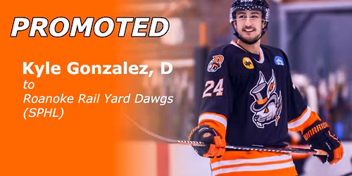 Roanoke Rail Yard Dawgs at Pensacola Ice Flyers at Pensacola Bay Center