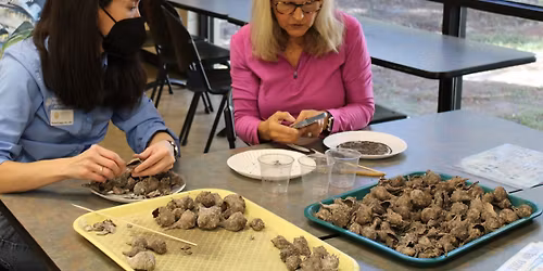 Volunteer Archaeology Lab