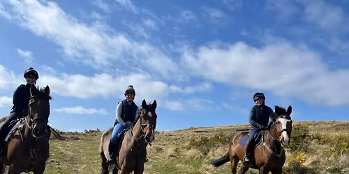 BHS Tayside Day Camp 2026