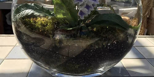 Terrarium Workshop