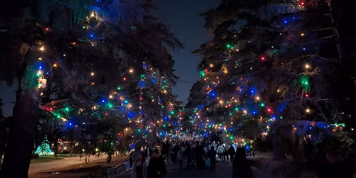 Christmas Tree Lane Bus Ride