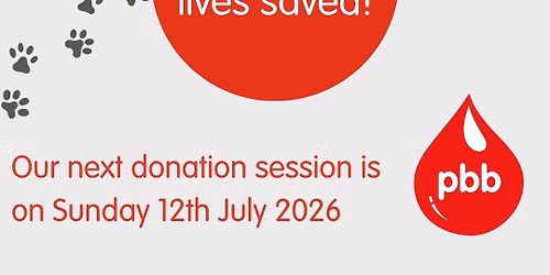 Pet Blood Bank Donation Session