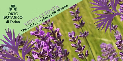 VISITA GUIDATA ORTO BOTANICO DI TORINO speciale 100 PIANTE UTILI ALL'UOMO