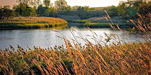 Capturing Change: Golden Hour Photography Tour