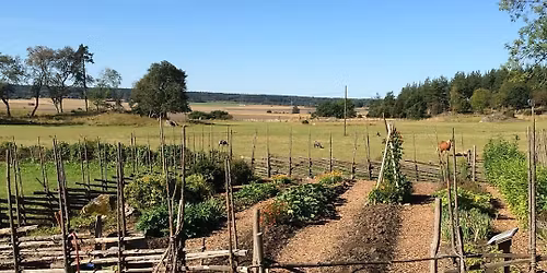 H\u00f6stfagning i kulturreservatet