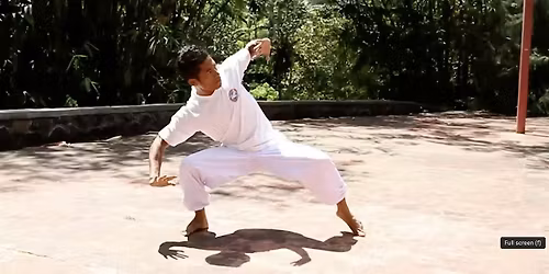 White Crane Kuntao Silat (kung fu) for All Levels - Intro to Animal Styles