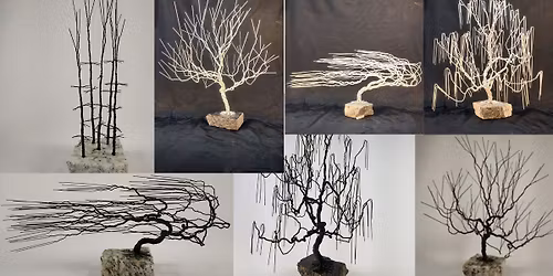 Wire Bonsai Workshop with Mark Golomb 5\/24 @11am