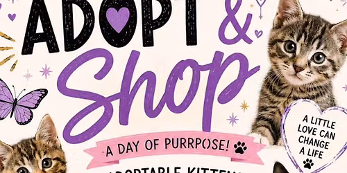 Adopt&Shop\u2014 Fairy Hair Fundraiser 