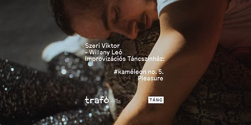 Szeri Viktor - Willany Le\u00f3 Improviz\u00e1ci\u00f3s T\u00e1ncsz\u00ednh\u00e1z: #kam\u00e9leon no. 5. - Pleasure