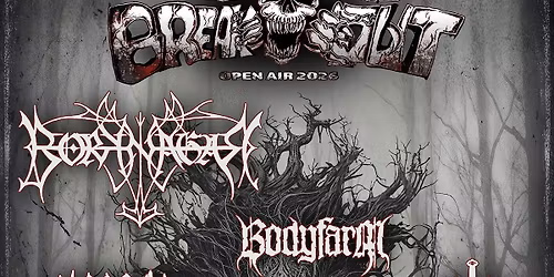 BREAK OUT OPENAIR VII