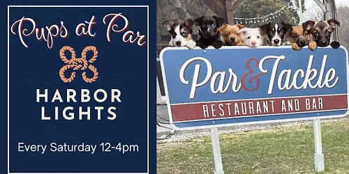 Pups at Par