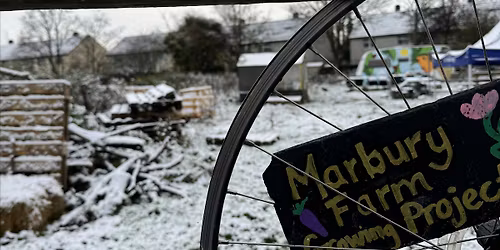 Campfire stories and brews