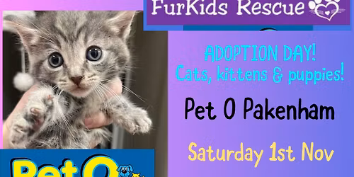 Cats, kittens and puppies needing you!!