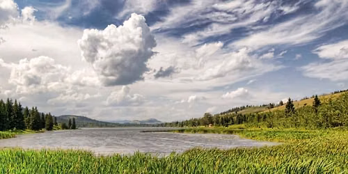 Beauvais Lake Provincial Park Nature Walk
