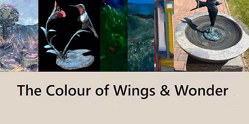 The Colour of WIngs & Wonder