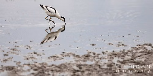 Beginner's Photography Workshop with Stu Brown