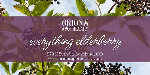 Everything Elderberry Workshop