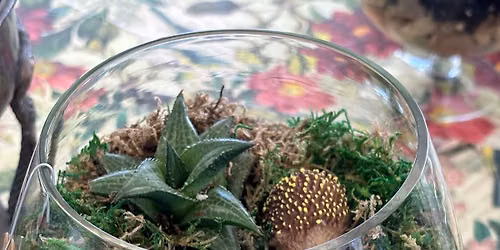 Create a Terrarium 