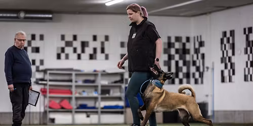 Grunnkurs i hundesport - oppstart 30. april 2026