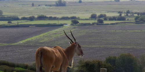 Lympne 10.5 mile walk