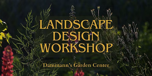 DIY Landscape Design