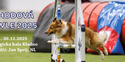 Jahodov\u00e1 bowle 2025