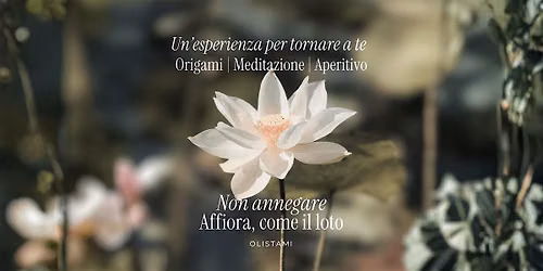 Affioro come il loto: origami, meditazione e aperitivo. Esperienza olistica
