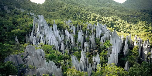4D3N Mulu Pinnacles & Show Caves 2026