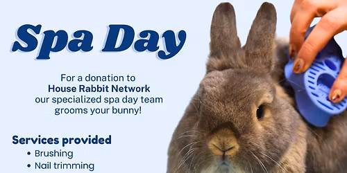 Quincy Bunny Spa Day