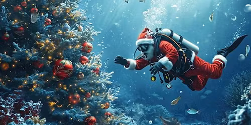 Phoenix Scuba Christmas Party