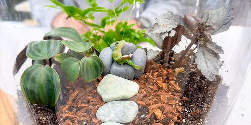 DIY Terrarium