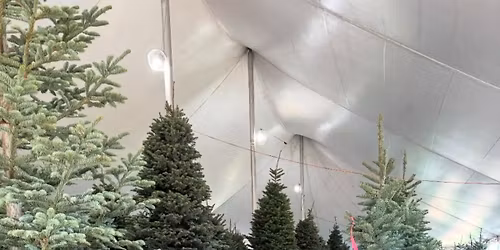 Frosty\u2019s Forest Christmas Trees @ Bakersfield