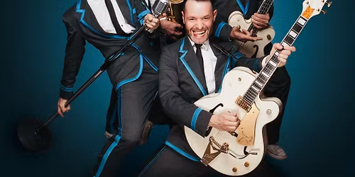 The Firebirds - Live in Concert