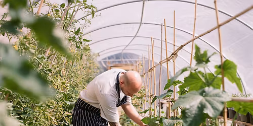 Summer Forage, Pickle & Preserve Workshop