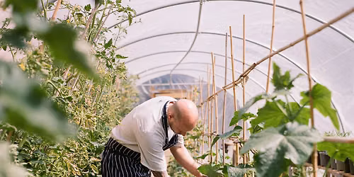 Summer Forage, Pickle & Preserve Workshop