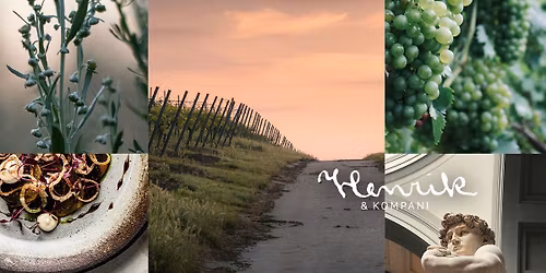 Vinsmaking med Ghisolana og Frigo wine 4-retters