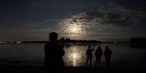 Full Moon guided walk - Women only - November - Beaver Moon