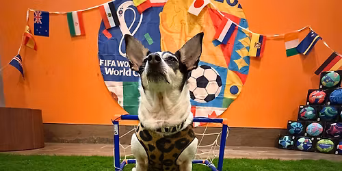 NHV FIFA Pup Fest (Game-Day Fun with Photos)