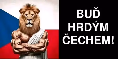 Malov\u00e1n\u00ed plak\u00e1t\u016f