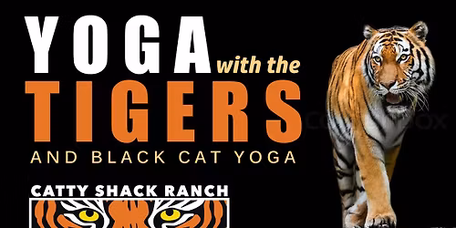 Yoga with the Tigers!