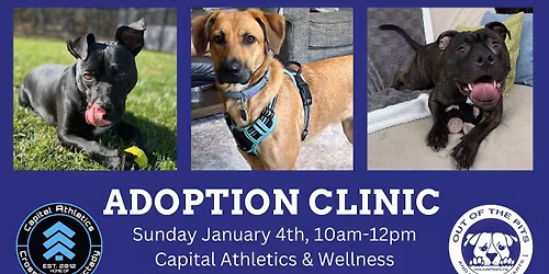 OOTP Adoption Clinic