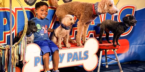 Puppy Pals