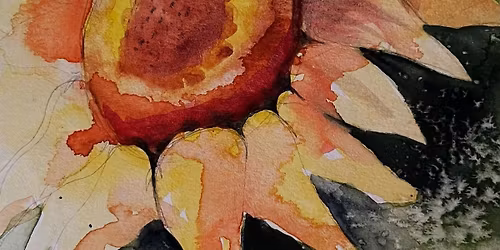 Sunflower Watercolors (Beginner) 