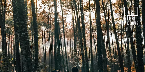 CONCERT : BOULEVARD DES AIRS + premi\u00e8re partie